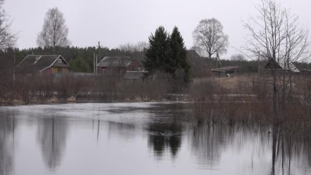 El flujo tranquilo de un río ancho. Primavera u otoño en pueblo con casas de madera — Vídeos de Stock