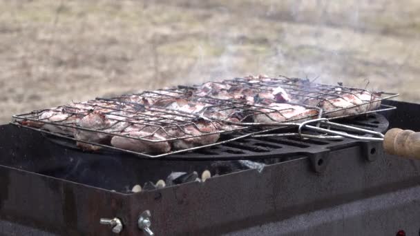 Nærbilde av grillen utenfor med grillen full av kjøtt. grillbrann og røyk – stockvideo