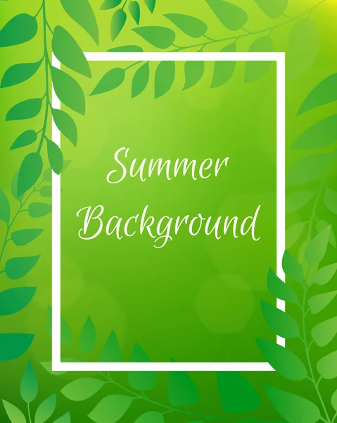 Nature gradient backdrop with foliage and rectangular frame. Green blurred background with bokeh. It can be used for poster, sale banner, packaging. — Stock Vector