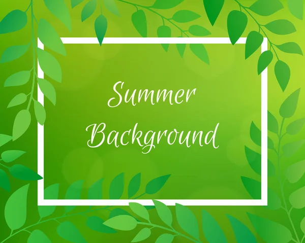 Nature backdrop with foliage and rectangular frame. Green horizontal blurred background with bokeh. It can be used for poster, sale banner, packaging. — Stock Vector