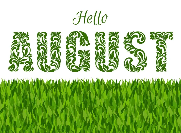 Hello AUGUST. Decorative Font made in swirls and floral elements isolated on a white background with grass. — Stock Vector