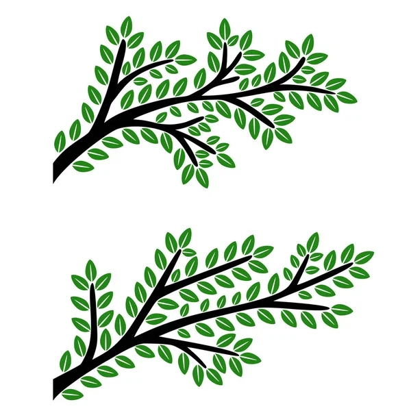 Větve se zelenými listy izolované na bílém pozadí. — Stockový vektor