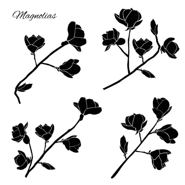 Sada větviček s kvetoucími magnóliemi. Černé siluety květin izolovaných na bílém pozadí. — Stockový vektor