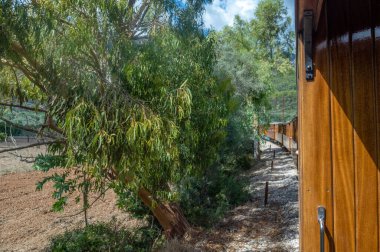 Palma de Mallorca, İspanya 'da Tren Soller ile güzel bir gezi.