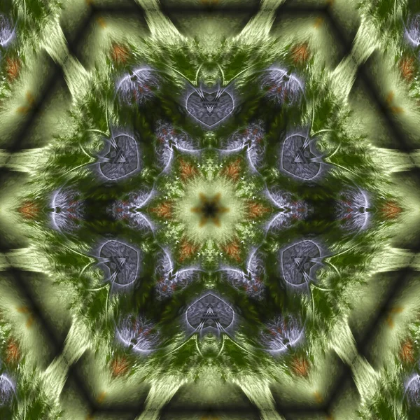 Kaleidoscoop Abstractart Mooie Fantasie Fractal Grafische Illustratie — Stockfoto