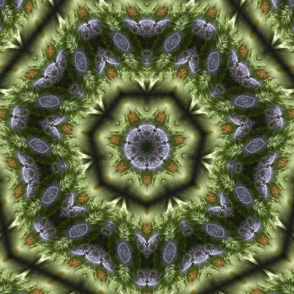 Kaleidoscope Abstractart Beautiful Fantasy Fractal Graphic Illustration — Stock Photo, Image
