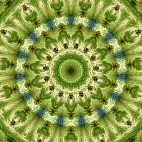 Kaleidoscoop Abstractart Mooie Fantasie Fractal Grafische Illustratie — Stockfoto