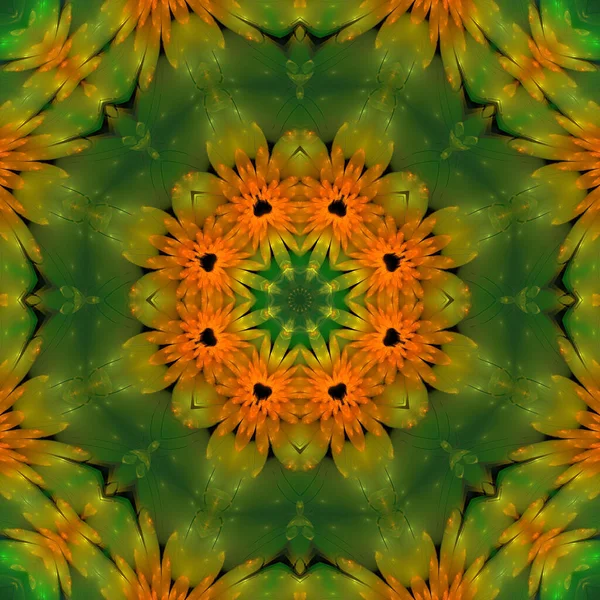 Kaleidoscope Abstractart Bela Fantasia Fractal Ilustração Gráfica — Fotografia de Stock