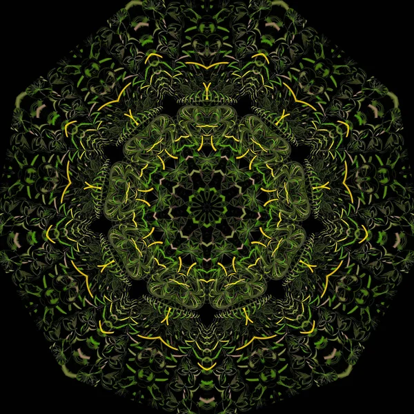 Kaleidoscoop Abstracte Kunst Mooie Fantasie Fractal Grafische Illustratie — Stockfoto