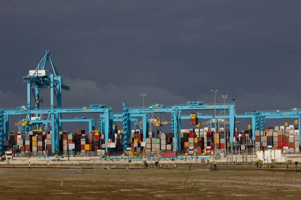 Rotterdam Limanı 'ndaki vinçler.