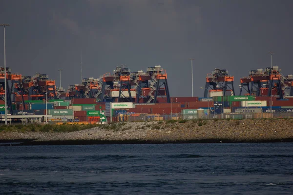 Terminal Contentores Porto Roterdão — Fotografia de Stock