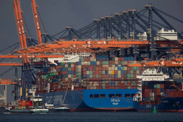 Containerterminal Rotterdamse Haven — Stockfoto