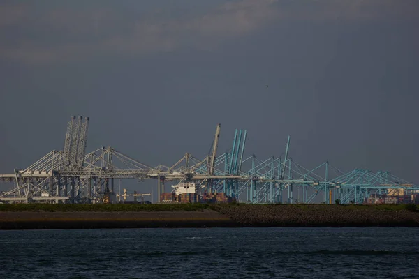 Rotterdam Liman Konteynırı Turna