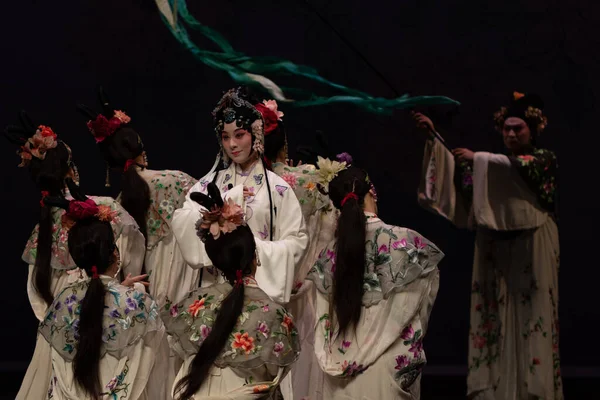 Çin Opera Performansı Peony Pavilon Eylül 2019 Zuiderstrand Tiyatrosu Scheveningen, Lahey, Hollanda