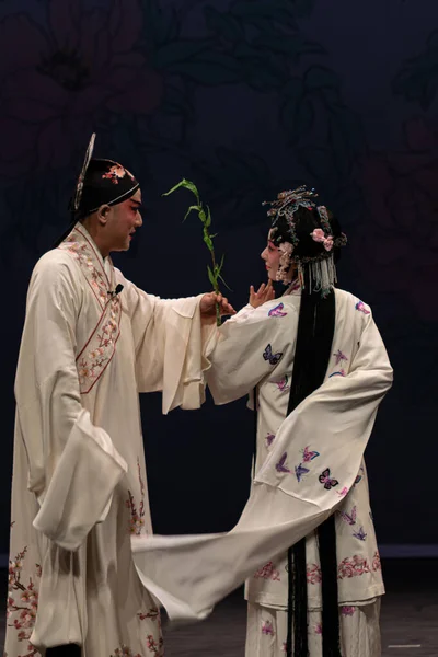 Çin Opera Performansı Peony Pavilon Eylül 2019 Zuiderstrand Tiyatrosu Scheveningen, Lahey, Hollanda