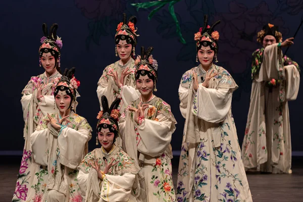 Çin Opera Performansı Peony Pavilon Eylül 2019 Zuiderstrand Tiyatrosu Scheveningen, Lahey, Hollanda