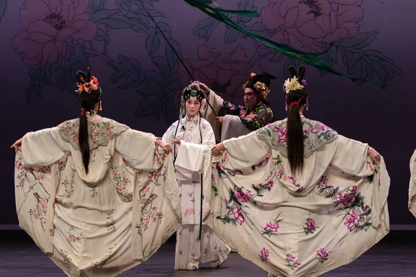 Çin Opera Performansı Peony Pavilon Eylül 2019 Zuiderstrand Tiyatrosu Scheveningen, Lahey, Hollanda