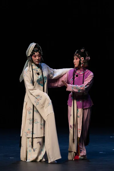 Çin Opera Performansı Peony Pavilon Eylül 2019 Zuiderstrand Tiyatrosu Scheveningen, Lahey, Hollanda