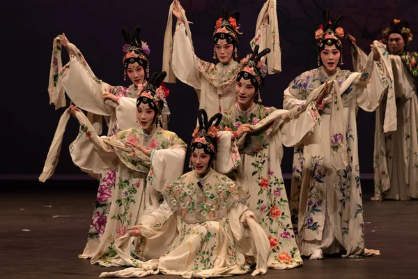 Çin Opera Performansı Peony Pavilon Eylül 2019 Zuiderstrand Tiyatrosu Scheveningen, Lahey, Hollanda