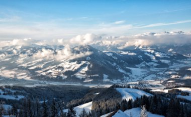 Alpleri'nde kış orman