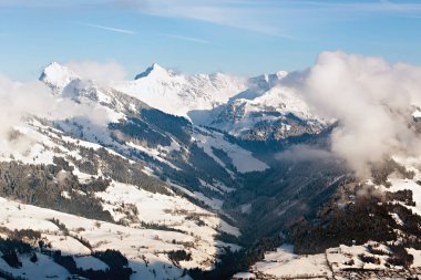 Alpleri'nde kış orman