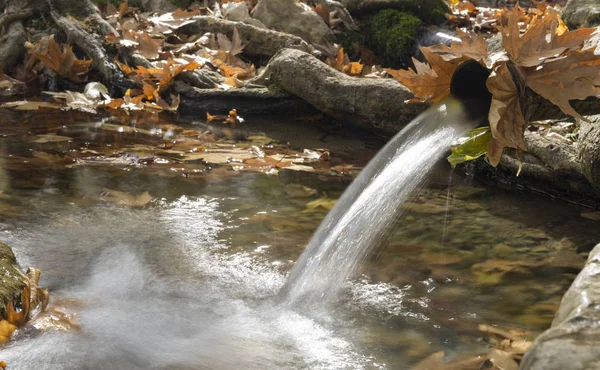 Wasserressourcen und Natur im Herbst — Stockfoto