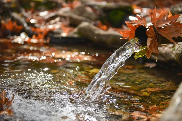 Wasserressourcen und Natur im Herbst — Stockfoto