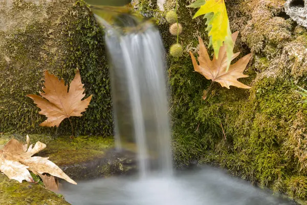 Autumn water texture — Stock Photo, Image