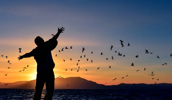 Seagulls and freedom — Stock Photo, Image