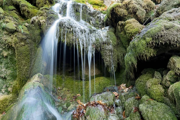 Wasser des Wasserfalls und Algen — Stockfoto