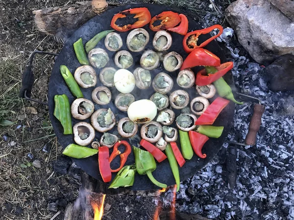 キャンプ料理自然 — ストック写真
