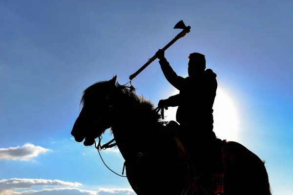 Образцовый конь-воин — стоковое фото