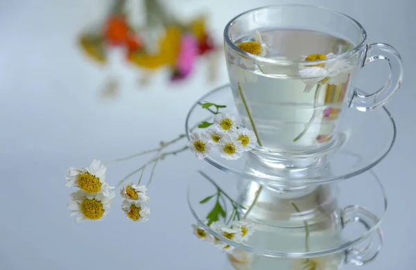 Té de manzanilla puede — Foto de Stock