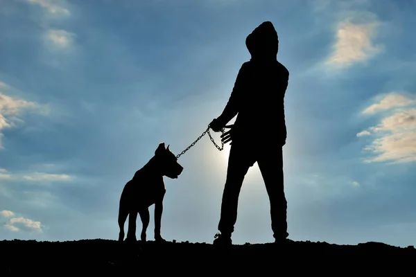 Человеческий силуэт выгуливает собаку — стоковое фото