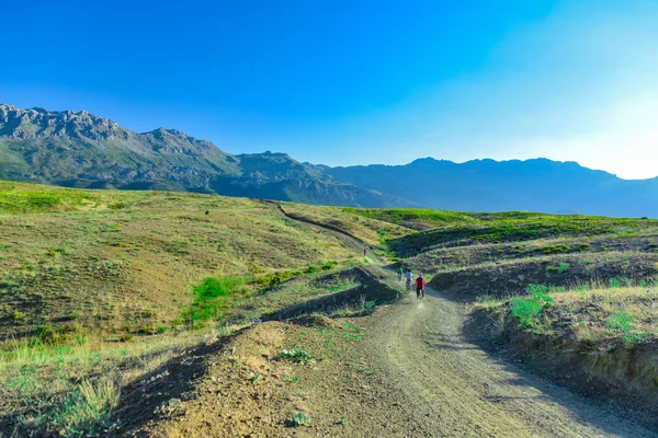 Équipe cycliste dans les montagnes — Photo