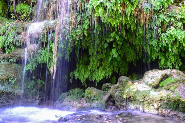 Eaux de cascade et végétation de lierre — Photo