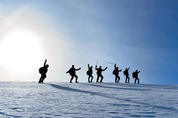 Зимний Альпинист Группа Команда Успеха Зимние Туристы Треккинг Группы — стоковое фото