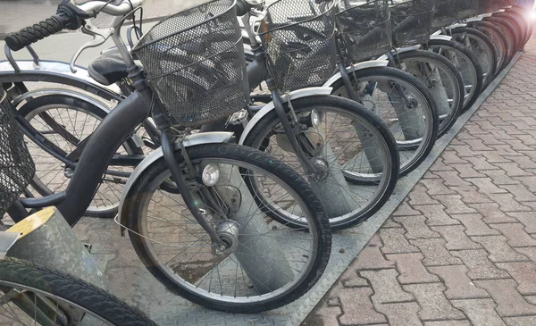 Location Vélos Dans Rue — Photo
