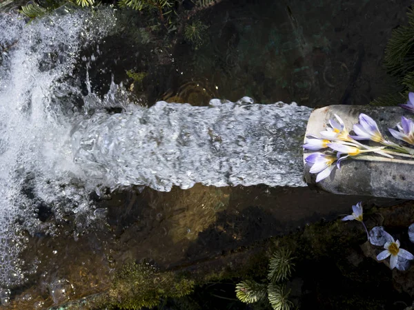 Trinkbares Natürliches Und Frisches Wasser — Stockfoto
