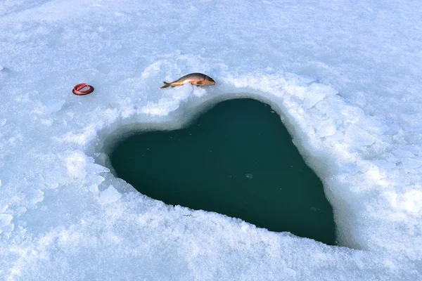 Creative Heart Shape Ice Fishing — Stock Photo, Image