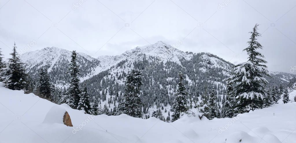 winter landscapes and relaxing effect in the peak mountains