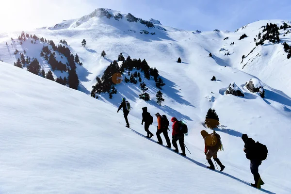 Montañistas que caminan hacia montañas nevadas — Foto de Stock