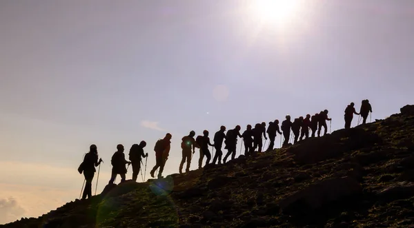 Успішна Рішуча Складна Професійна Альпіністська Група — стокове фото
