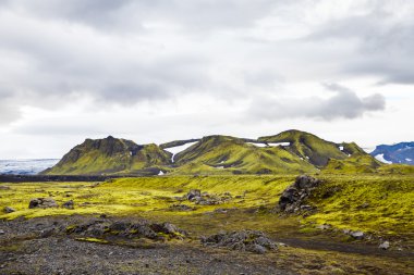 Dark Iceland landscape with green moss clipart