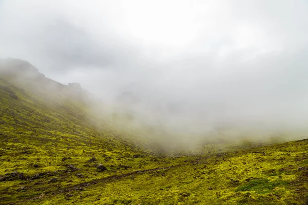 Туманний з в Ісландії — стокове фото