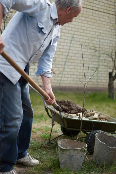 Close up shot middle age man with shovel holding soil. Gardening and building concept. Construction waste.