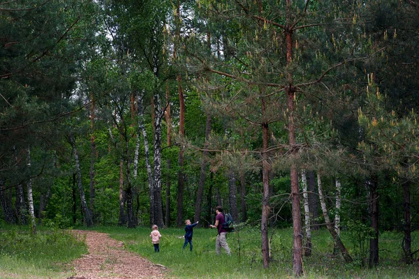 Ojciec Dwójka Dzieci Syn Córka Wędrujący Lesie Rodzinny Spacer Lato — Zdjęcie stockowe