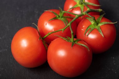 siyah bir arka plan domates Şubesi