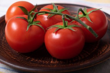 Seramik plaka beyaz zemin üzerinde domates dalı