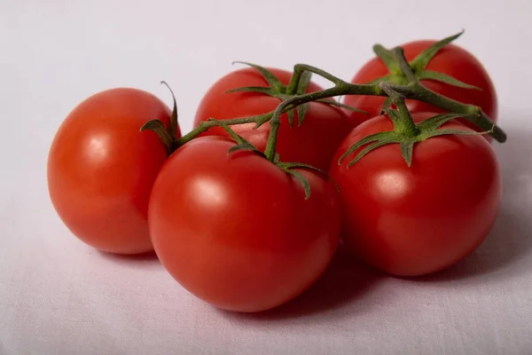 Filial Tomater Vit Bakgrund — Stockfoto